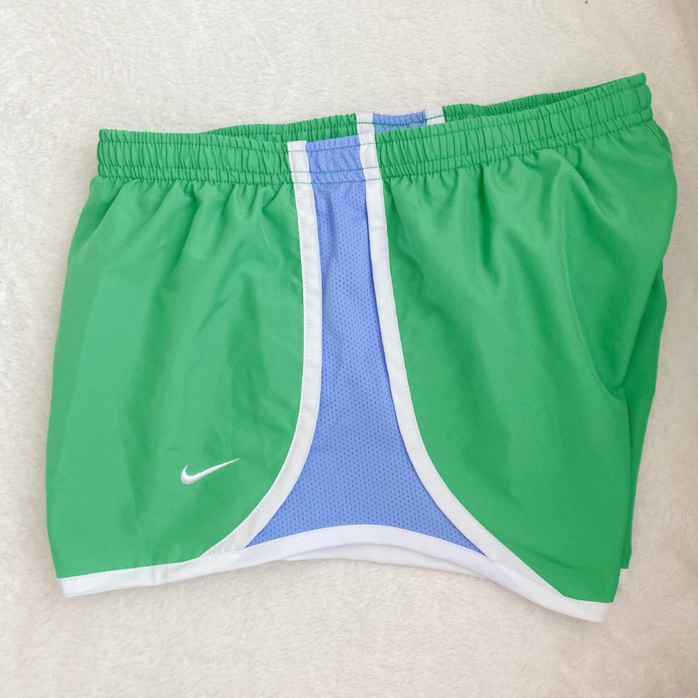 Nike Shorts (Blue/Green)